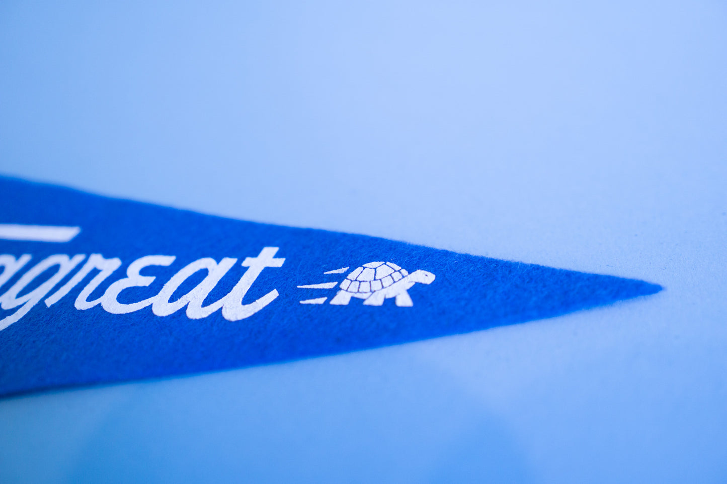 Toppagreat Mini Pennant